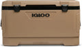Igloo Maxcold Latitude - Frigorifero Portatile Isolato con Guscio Rigido