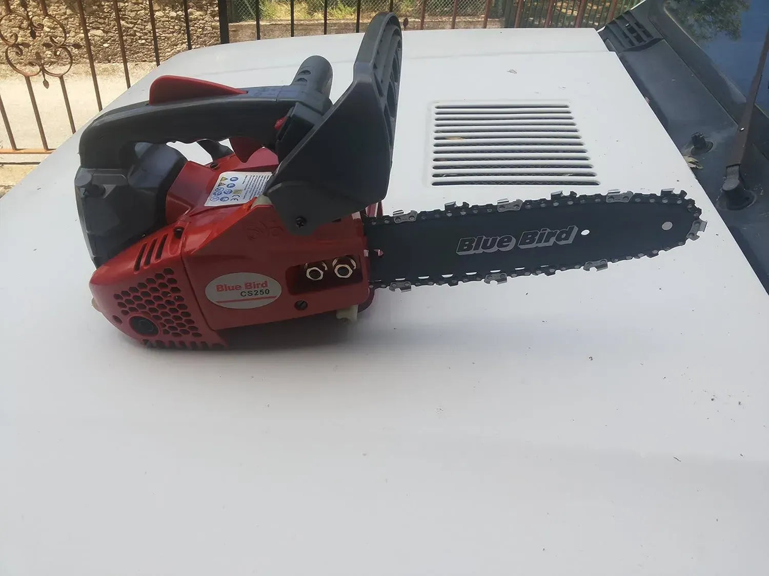 Motosega da Potatura Bluebird con Barra da 25 cm